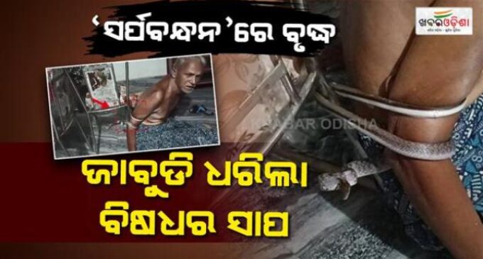 ସାପ ସହ ଦୁଇ ଘଣ୍ଟା ସଂଘର୍ଷ, ପକ୍ଷାଘାତ ରୋଗୀଙ୍କ ହାତକୁ ଚେୟାରରେ ବାନ୍ଧି ରଖିଥିଲା ବିଷଧର ସର୍ପ
