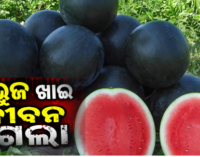 ପଟ୍ଟାମୁଣ୍ଡାଇରେ ତୁରଭୁଜ ଖାଇ ପରିବାର ୫ ଜଣ ଅସୁସ୍ଥ, ଜଣେ ନାବାଳକ ମୃତ