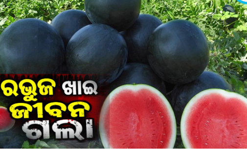 ପଟ୍ଟାମୁଣ୍ଡାଇରେ ତୁରଭୁଜ ଖାଇ ପରିବାର ୫ ଜଣ ଅସୁସ୍ଥ, ଜଣେ ନାବାଳକ ମୃତ