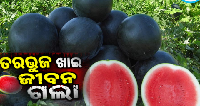 ପଟ୍ଟାମୁଣ୍ଡାଇରେ ତୁରଭୁଜ ଖାଇ ପରିବାର ୫ ଜଣ ଅସୁସ୍ଥ, ଜଣେ ନାବାଳକ ମୃତ