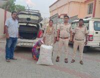 ବୌଦ୍ଧ ଅବକାରୀ ବିଭାଗ ଦ୍ୱାରା ବଡ଼ଧରଣର ଗଞ୍ଜେଇ ଜବତ : ମହିଳା ଅଭିଯୁକ୍ତ ଗିରଫ, ଗୋଟିଏ ଆଲ୍‌ଟୋ କାର୍ ଜବତ