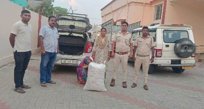 ବୌଦ୍ଧ ଅବକାରୀ ବିଭାଗ ଦ୍ୱାରା ବଡ଼ଧରଣର ଗଞ୍ଜେଇ ଜବତ : ମହିଳା ଅଭିଯୁକ୍ତ ଗିରଫ, ଗୋଟିଏ ଆଲ୍‌ଟୋ କାର୍ ଜବତ