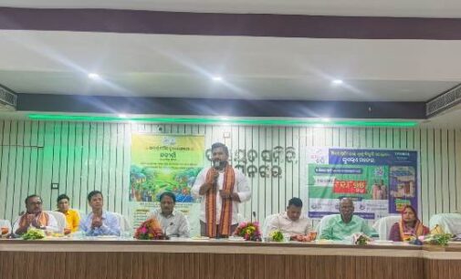 Solar Power Helps Bhadrak Residents Cut Summer Electricity Costs