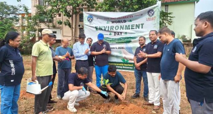 CSIR–IMMT Celebrates World Environment Day 2026