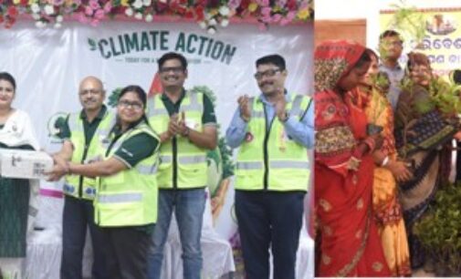 AM/NS India champions environmental stewardship in Sustainability Week 2026
