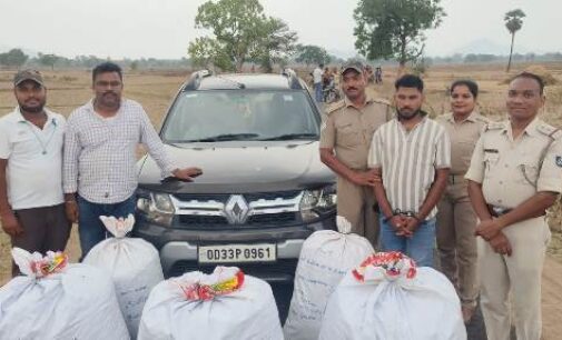 ଗୋବିନ୍ଦପୁର ଗ୍ରାମ ରାସ୍ତାରୁ ଡଷ୍ଟର ଗାଡି ସହ ୧୭୫ କେଜି ଗଞ୍ଜେଇ ଜବତ, ଜଣେ ଗିରଫ