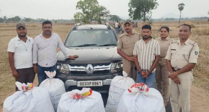 ଗୋବିନ୍ଦପୁର ଗ୍ରାମ ରାସ୍ତାରୁ ଡଷ୍ଟର ଗାଡି ସହ ୧୭୫ କେଜି ଗଞ୍ଜେଇ ଜବତ, ଜଣେ ଗିରଫ
