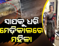 ବିଷଧର ସାପକୁ ଧରି ଡାକ୍ତରଖାନାରେ ପହଁଚିଗଲେ ମହିଳା