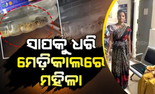 ବିଷଧର ସାପକୁ ଧରି ଡାକ୍ତରଖାନାରେ ପହଁଚିଗଲେ ମହିଳା