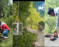 ପରିବେଶ ସୁରକ୍ଷା ହେଉଛି ଆମ ସମସ୍ତଙ୍କ ଦାୟିତ୍ୱ
