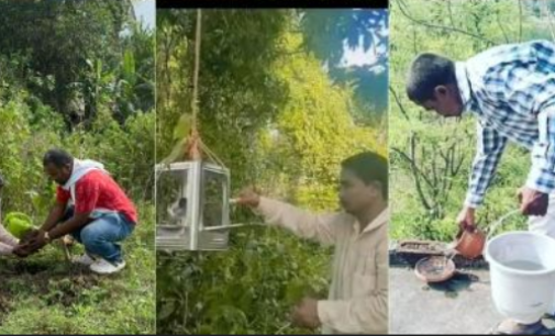 ପରିବେଶ ସୁରକ୍ଷା ହେଉଛି ଆମ ସମସ୍ତଙ୍କ ଦାୟିତ୍ୱ