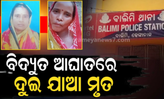 ବିଦ୍ୟୁତ ଆଘାତରେ ଛଟପଟ ହେଉଥିଲେ ସାନ ଯା’ଆ, ବଞ୍ଚାଇବାକୁ ଆସି ଟଳିପଡିଲା ବଡ଼