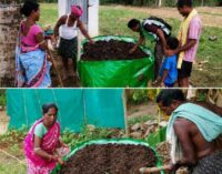 Vedanta aluminium scales organic farming interventions in Kalahandi, benefiting 170 households