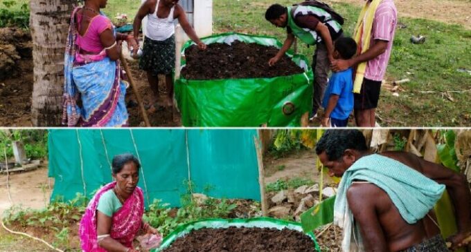 Vedanta aluminium scales organic farming interventions in Kalahandi, benefiting 170 households