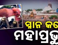 ଦିବ୍ୟ ସ୍ନାନ କଲେ ଶ୍ରୀଜିଉ, ପୁରୀରେ ଭକ୍ତିମୟ ପରିବେଶ