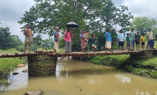 ପ୍ରଶାସନ ଶୁଣିଲାନି: କାଠ ବାଉଁଶରେ ପୋଲ ନିର୍ମାଣ କଲେ ଗ୍ରାମବାସୀ
