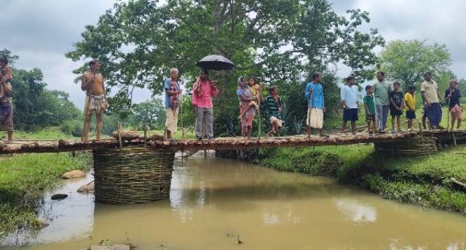 ପ୍ରଶାସନ ଶୁଣିଲାନି: କାଠ ବାଉଁଶରେ ପୋଲ ନିର୍ମାଣ କଲେ ଗ୍ରାମବାସୀ