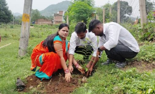 ବିଶ୍ୱଜିତଙ୍କ ଜନ୍ମ ଦିନରେ ମା ପାଇଁ ଗଛଟିଏ କାର୍ଯ୍ୟକ୍ରମ