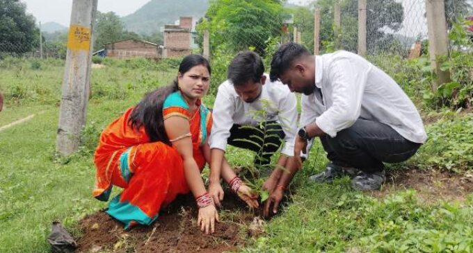 ବିଶ୍ୱଜିତଙ୍କ ଜନ୍ମ ଦିନରେ ମା ପାଇଁ ଗଛଟିଏ କାର୍ଯ୍ୟକ୍ରମ