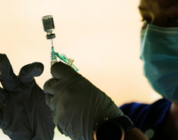 India approves first dengue vaccine for individuals aged between 4 to 60