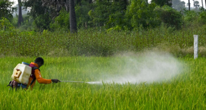 India bans paraquat, weeds out biggest poison from its agricultural fields