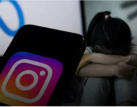 Centre issues notice to Meta over Instagram ads promoting child sexual abuse content