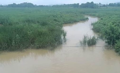 ଚାଷୀଙ୍କ ଜୀବନରେଖା ଶଗଡ଼ିଆ ନାଳ ପୁନ୍ନରୁଦ୍ଧାର ଦାବି