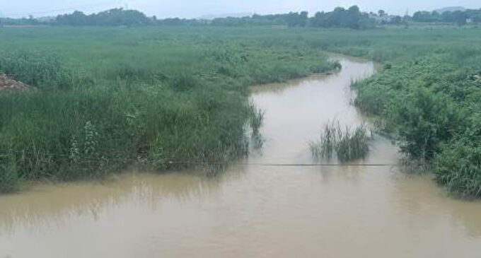 ଚାଷୀଙ୍କ ଜୀବନରେଖା ଶଗଡ଼ିଆ ନାଳ ପୁନ୍ନରୁଦ୍ଧାର ଦାବି