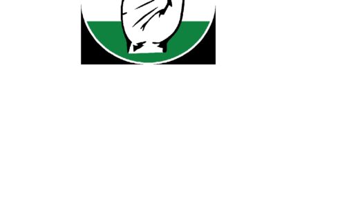 Assam: Congress alleges government failure in flood relief, seeks White Paper on damages