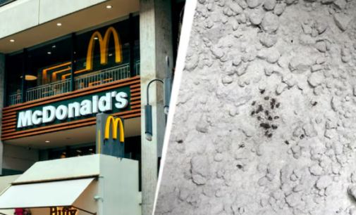Maharashtra FDA suspends licences of McDonald’s, 12 others after flies, cockroaches found