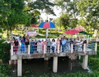 Tiranga & Vande Mataram Kayaking show held at Charan Beel, Morigaon 