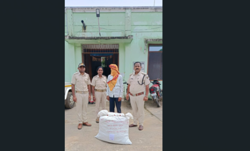 ବୌଦ୍ଧ ଲୁମୁରୁଜେନା ଗ୍ରାମରୁ ୨୬ କିଲୋଗ୍ରାମ ଗଞ୍ଜେଇ ଜବତ, ଜଣେ ଗିରଫ