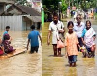 ‘Do not politicise disaster’: Dilip Kumar Sharma’s strong appeal