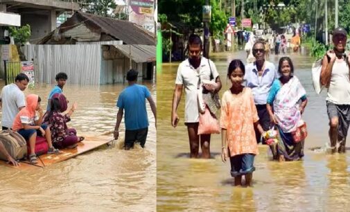 ‘Do not politicise disaster’: Dilip Kumar Sharma’s strong appeal