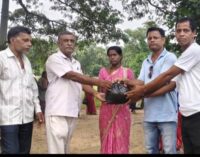 ଅଭିଆରା ଫାଉଣ୍ଡେସନ ପକ୍ଷରୁ ବନ୍ୟା ବିପନ୍ନଙ୍କୁ ଶୁଖିଲା ଖାଦ୍ୟ ବଣ୍ଟନ