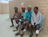 ବୈପାରୀଗୁଡାରେ ବିଲୁଆ ଆତଙ୍କ, ୬ ଗୁରୁତର