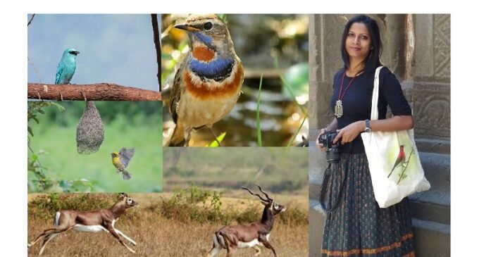 Where the wild meets the canvas: Tanuja Sethi’s art inspired by Odisha’s birds and nature