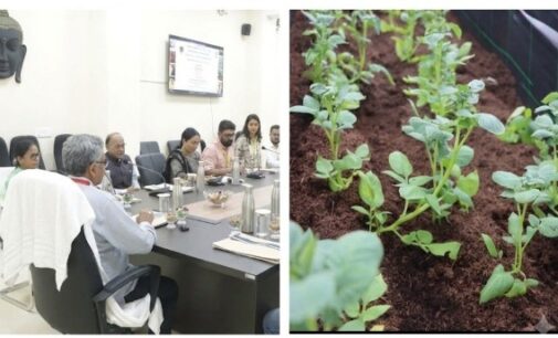 CUO, CIP demonstrate new potato seed production technologies