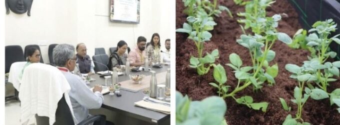 CUO, CIP demonstrate new potato seed production technologies