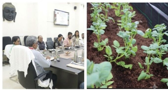 CUO, CIP demonstrate new potato seed production technologies