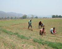 Vedanta Aluminium’s Project Sangam strengthens irrigation access in rural kalahandi