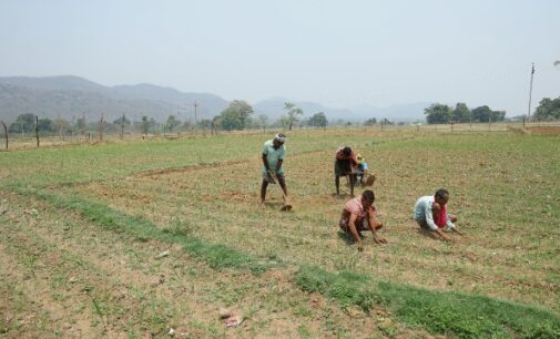 Vedanta Aluminium’s Project Sangam strengthens irrigation access in rural kalahandi