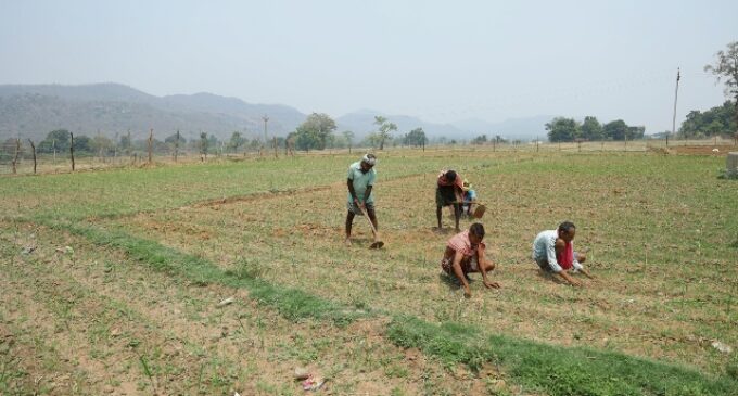 Vedanta Aluminium’s Project Sangam strengthens irrigation access in rural kalahandi