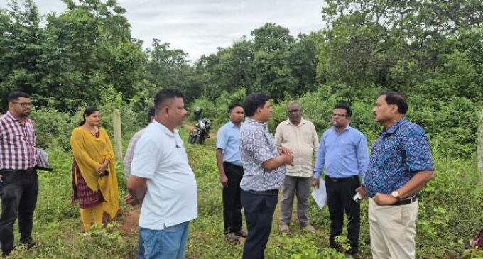 ବୌଦ୍ଧ ଜିଲ୍ଲାପାଳ ହରଭଙ୍ଗା ବ୍ଲକରେ ବିଭିନ୍ନ ଉନ୍ନୟନମୂଳକ କାର୍ଯ୍ୟ ପରିଦର୍ଶନ ଓ ସମୀକ୍ଷା କଲେ