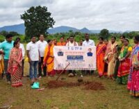 ବୌଦ୍ଧ ଜିଲ୍ଲାରେ ‘ଏକ ପେଡ୍ ମା’ କେ ନାମ’ କାର୍ଯ୍ୟକ୍ରମରେ ୪୮,୩୦୦ ବୃକ୍ଷରୋପଣ ହେଲା