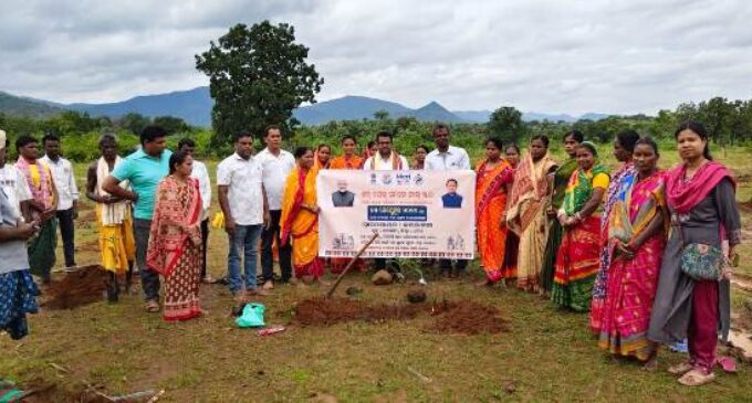 ବୌଦ୍ଧ ଜିଲ୍ଲାରେ ‘ଏକ ପେଡ୍ ମା’ କେ ନାମ’ କାର୍ଯ୍ୟକ୍ରମରେ ୪୮,୩୦୦ ବୃକ୍ଷରୋପଣ ହେଲା
