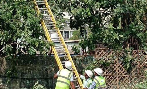TPCODL activates disaster management plan to protect power infrastructure amid Cyclone Arnab threat