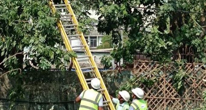 TPCODL activates disaster management plan to protect power infrastructure amid Cyclone Arnab threat