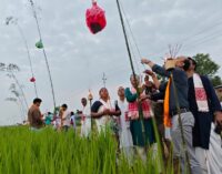 Kati Bihu celebrated in Assam: Paschim Nagaon Pathar in Jagiroad Illuminated by Akash Banti