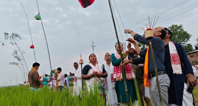 Kati Bihu celebrated in Assam: Paschim Nagaon Pathar in Jagiroad Illuminated by Akash Banti